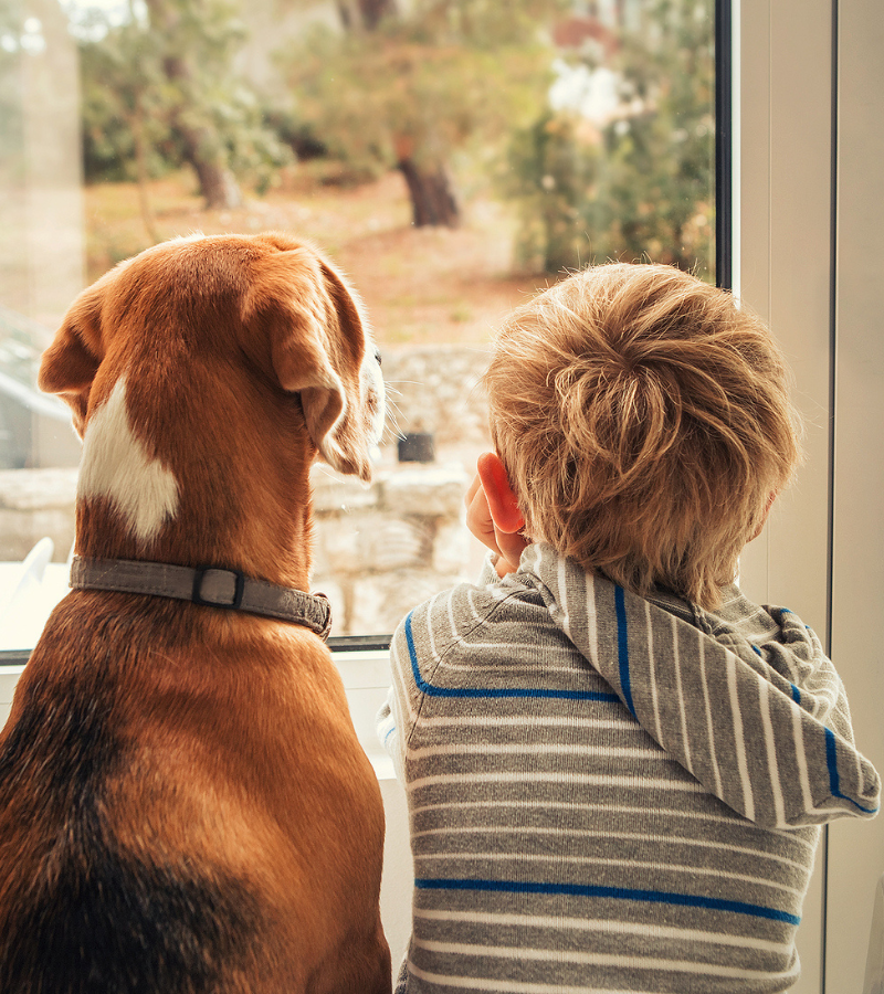 We empower children, adolescents, and their caregivers to overcome the impacts of trauma through compassionate mental health services, including Trauma-Focused CBT (TF-CBT).