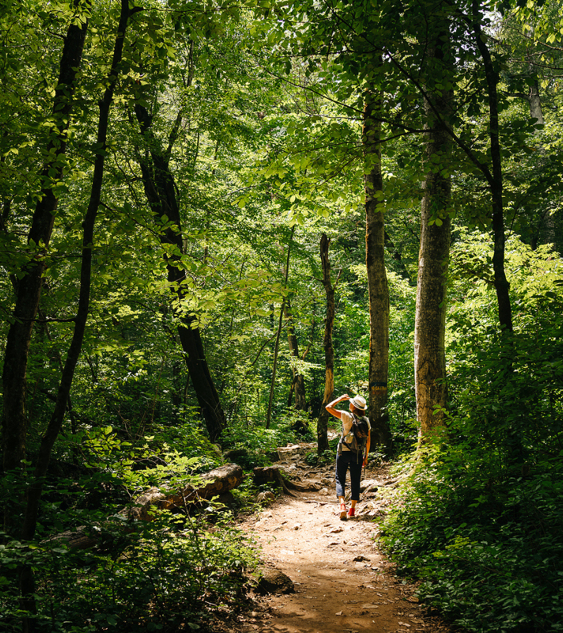 At Grandview for Good, our mission is to empower individuals and families through access to mental health programs, no matter their financial situation.